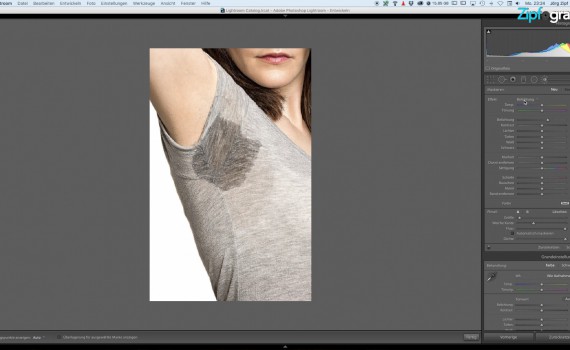 Selektive Anpassung in Lightroom Korrekturpinsel
